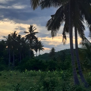 Tamil🎧Old😍& Love💟Songs🥁 Telegram Group Link