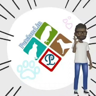 Dog Lovers - Petsland.in