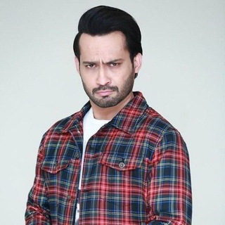 Telegram profile photo for Waqar Zaka Group 📊