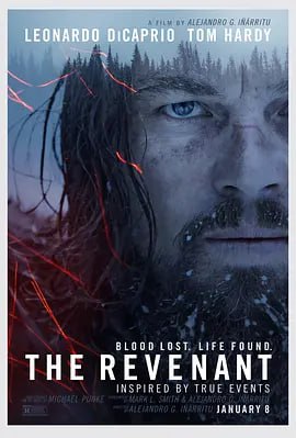 荒野猎人 The Revenant (2015)导演