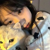 Senin