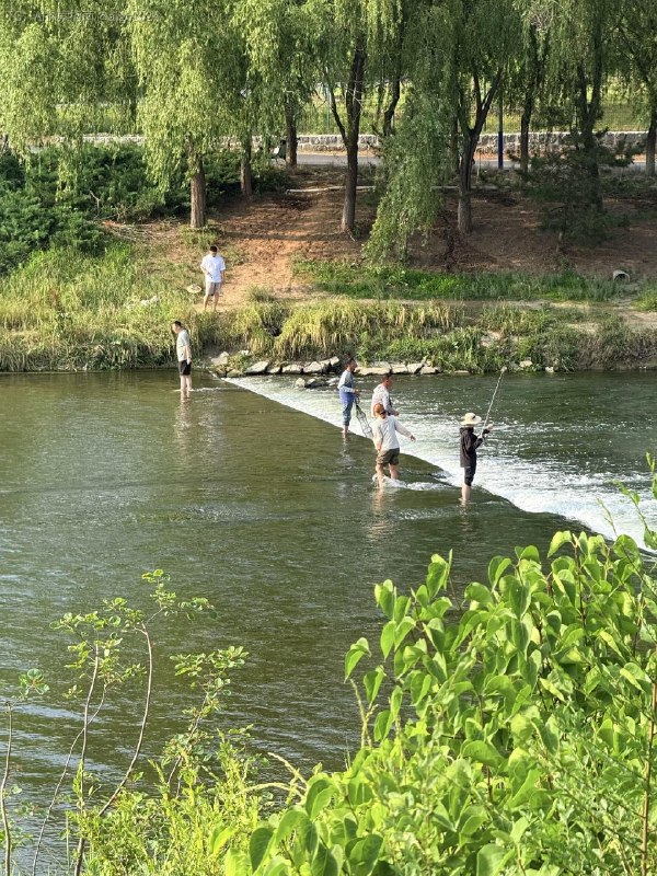 夏日骑行人们在河里钓着鱼人们在岸边采桑葚云飘过水流过@aigc1024夏日骑行人们在河里钓着鱼人们在岸边采桑葚云飘过水流过@aigc1024