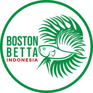 Boston Betta Tangerang