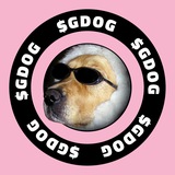 $GDOG | Solana Meme 🐶