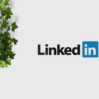 Telegram profile photo for Linkedin领英账号批发