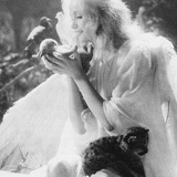 cherubim.