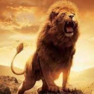 Adda247 CLAT and Law entrance exams Telegram Group Link