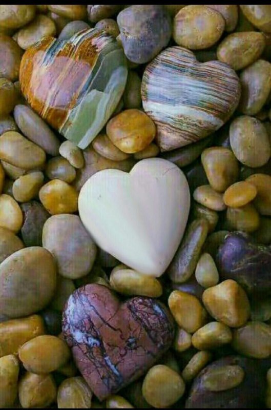 سخنان دلـنشین و زیبا ❤: رنجشي نيستآدم‌ها همين‌اند،خوبند ولي فراموشکار:مي‌آيند..مي‌مانند..مي‌روند...بهترين راه زندگيهمين دوکلمه است:مرنج !مرنجان 