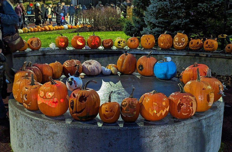 來過個南瓜🎃節來過個南瓜🎃節