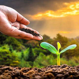 Agriculture Supervisor Quiz🌻💥🔵 Telegram Group Link