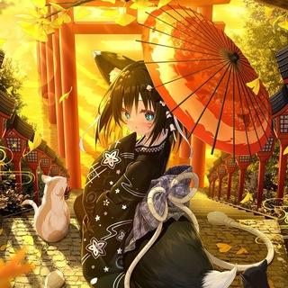 Telegram profile photo for 猫爬架