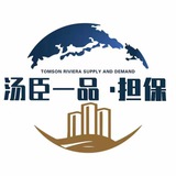 汤臣一品担保名单