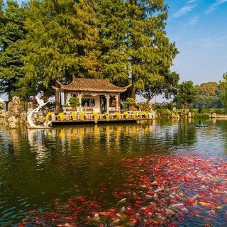 Telegram profile photo for 南京苏州夜色出击