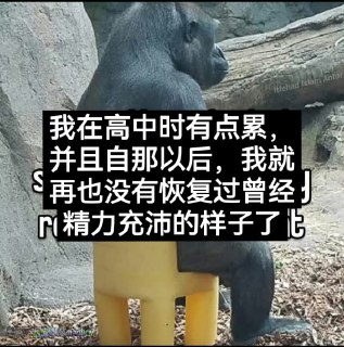 ASDZXC: https://jandan.net/t/6034267OO: 123 XX: 1就爱看这个: 高中有点太早了吧OO: 15, XX: 0