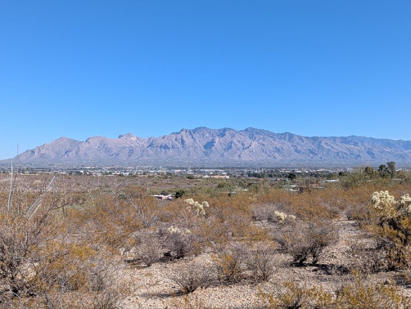 Mission Day Tucson Sonoran 沙漠深處滿山的巨人柱，最具標誌性的 Arizona 景觀