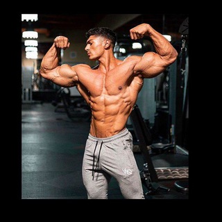 📚 Shayari katta 📚 Telegram Group Link