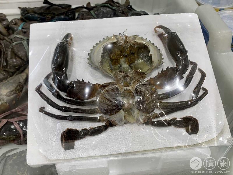 最近Costco除了沙母之外，也有活的沙公可以選擇，可以用好市多在賣的料理清酒，搭配薑片用大同電鍋蒸
