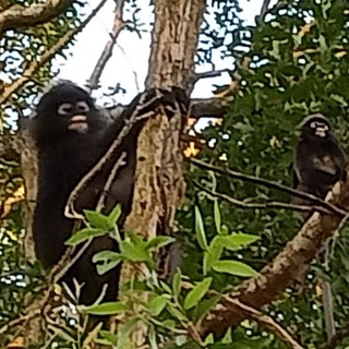 零贰交易群🐒