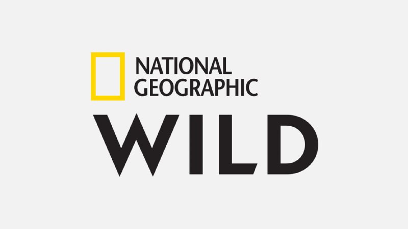 FREESAT: ⬇موقتا رایگان شدندFX HDWILD HDNAT GEO HDDISNEY JUNIOR HDTÜRKSAT 42.0°EDVB-S2 | 11807 H 10000 3/4@FREESAT