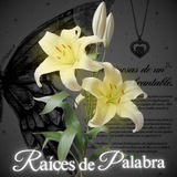 HIAT 𓉳 RAÍCES DE PALABRA