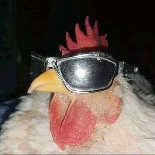 𝙎𝘼𝙇𝘼 𝙋𝙐𝘽𝙇𝙄𝘾𝙆 𝘽𝙍𝙕𝙕