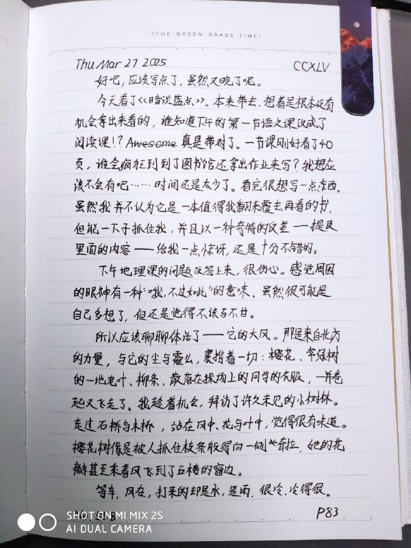 媒体预览