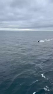 התקפת כטב"מ ימי על CONTSHIP JET מול בולגריה הצילומים ששוחררו על ידי ימית.bg מציגים כטב"מ ימי פוגע באוניית ה…