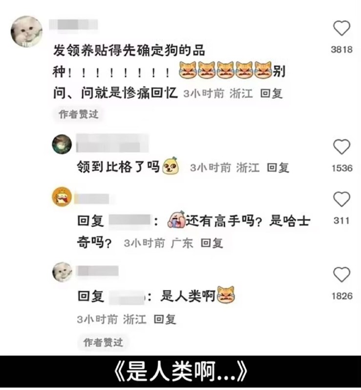 哪位群友