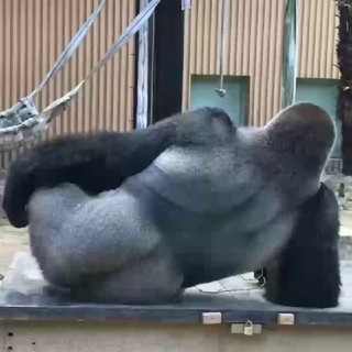 😇Sci🤓 Pi🧐 Telegram Group Link