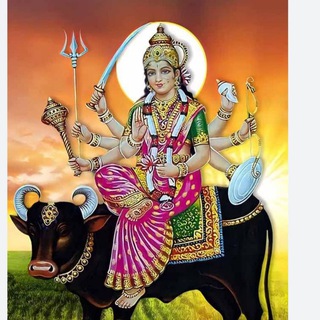 सट्टा बाजार