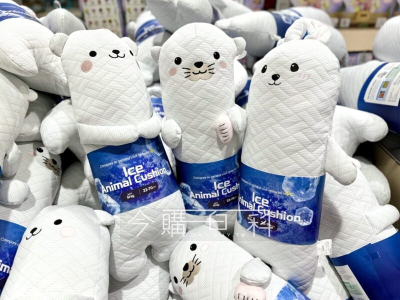新品目擊情報 