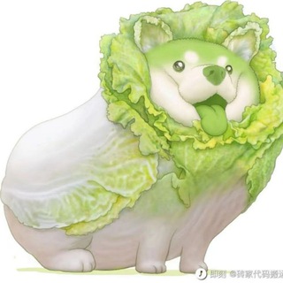 眼神才是最容易出卖人年龄的东西。去年喜欢过一个男生，直到今年突然看到他近照，惊觉这个人已经老得不像样了。不是鬓边白发，不是不再精致的穿着，也不是松垮的下颌线。而是眼神。他曾经是个犀利且自我的人，才华横溢，目光迥然。一年不见，取而代之的是横生的眼袋，空洞的眼神，配上馒化的脸蛋，只看照片，一股独属于中老年的疲惫感都要透过屏幕弥漫开来了。再次感慨，酒色纵欲、胡吃海喝、懒惰焦躁都会改变一个人的面相，从而改变一个人的气场。短短一年，大厂精英沦落为中年疲男。相由心生这句话，值得警惕。