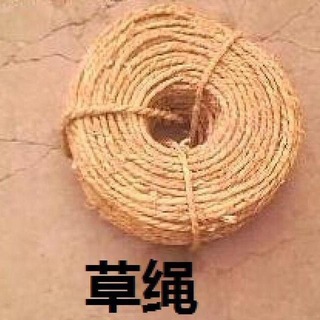 rvalue的生草日常 Telegram Group Link
