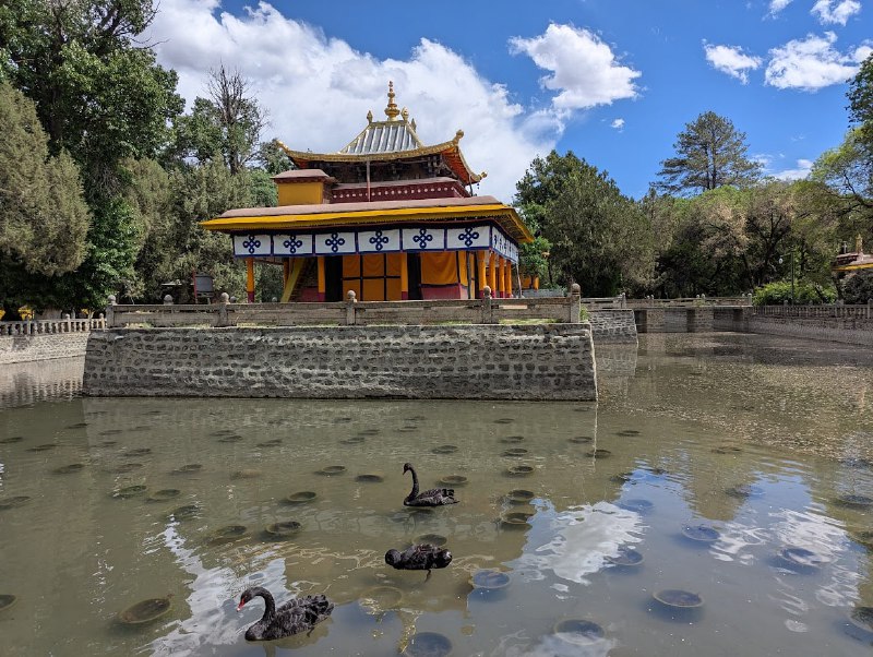 達格架噴泉 & 羅布林卡圖博之行也算達到尾聲了，我最深的感觸就是，今日圖博是一個四川話完全通行的地方……我爸無論打車、酒店、飯店都默認和對方說四川話，然後，對面就四川話接上了……達格架噴泉 & 羅布林卡圖博之行也算達到尾聲了，我最深的感觸就是，今日圖博是一個四川話完全通行的地方……我爸無論打車、酒店、飯店都默認和對方說四川話，然後，對面就四川話接上了……