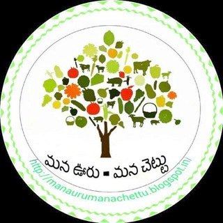 🌱మనఊరు-మనచెట్టు🌱✍📣 Telegram Group Link