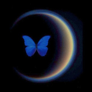🦋