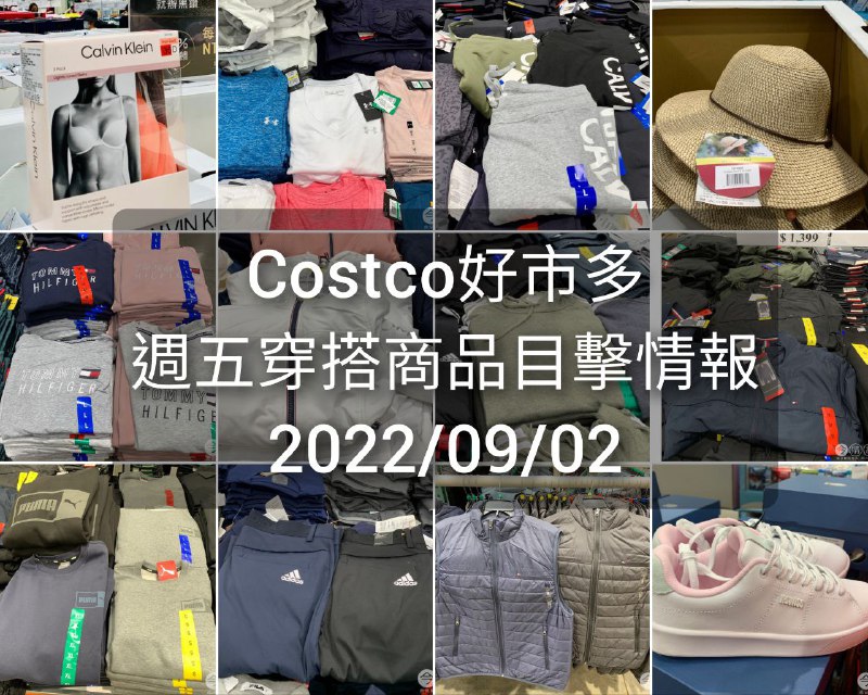 懶人包連結