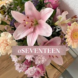 USERNAME SEVENTEEN