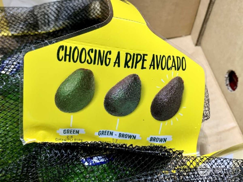 Costco新商品通知 空運紐西蘭酪梨 #47019 新商品情報連結 