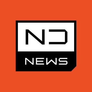 네임드 NAMED News