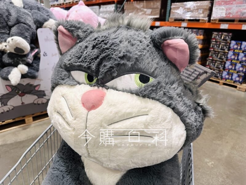 新品情報看這邊 