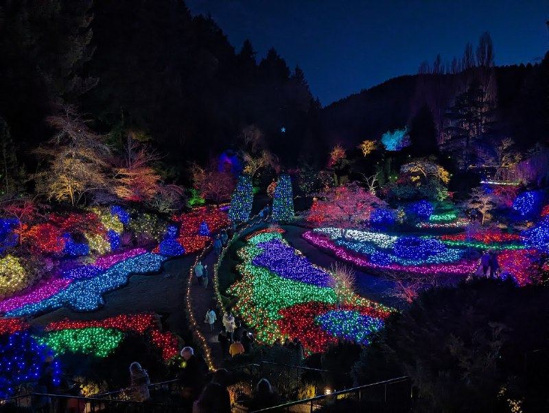 Beautiful British Columbia!  來大溫辦美簽，想説去島上轉轉，直接一波溫哥華島環島遊