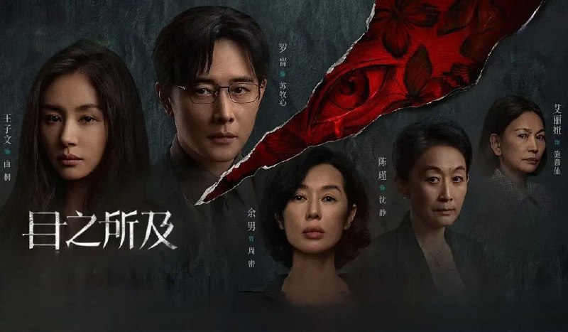 目之所及（2025）