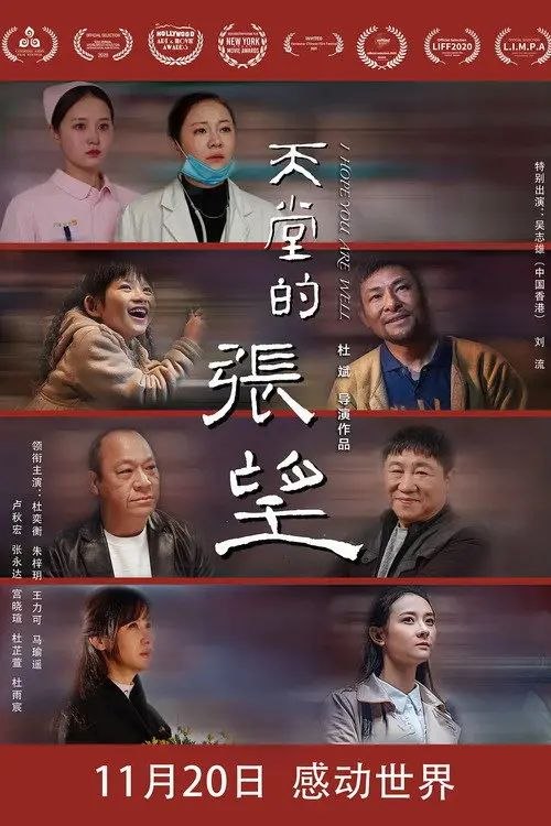 名称：天堂的张望 (2020) 4K 高码