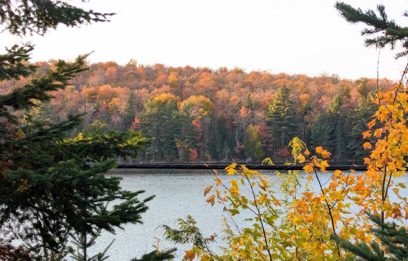 今年官網 Peak 版本的 Lions Lookout、Algonquin & Ragged Falls今年官網 Peak 版本的 Lions Lookout、Algonquin & Ragged Falls