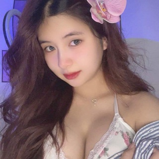 Quản Lý Nhóm @Kingfolder Telegram Group Link