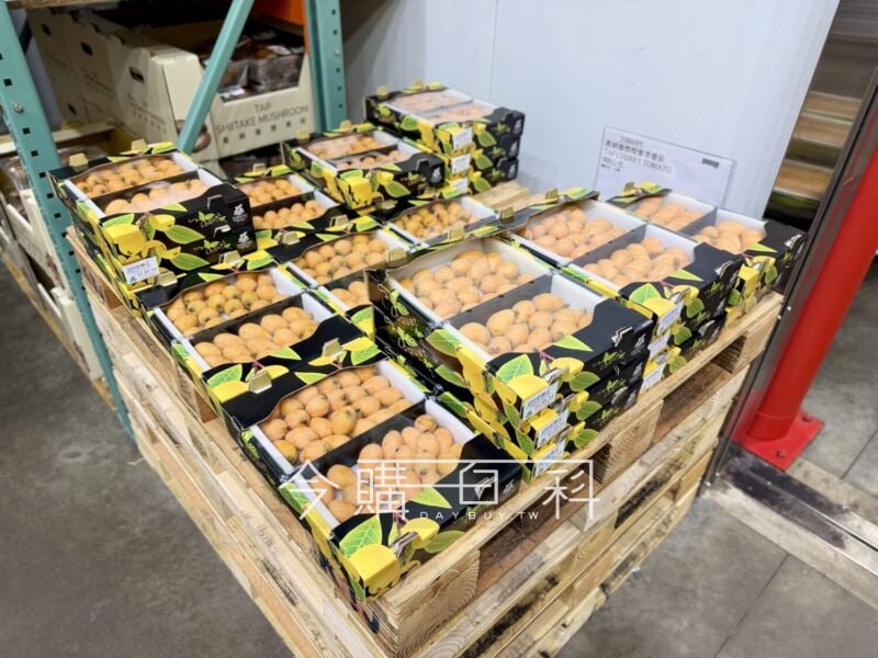 新品情報連結 
