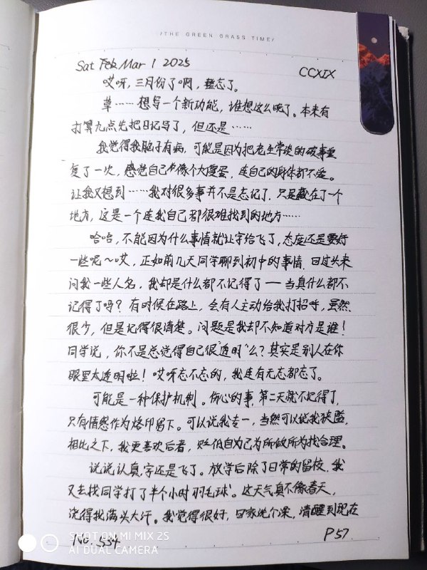 媒体预览