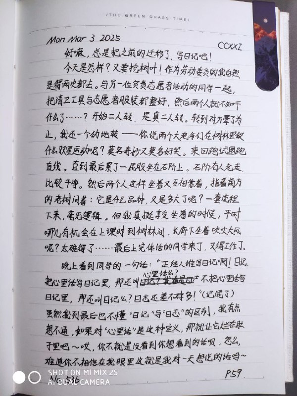媒体预览