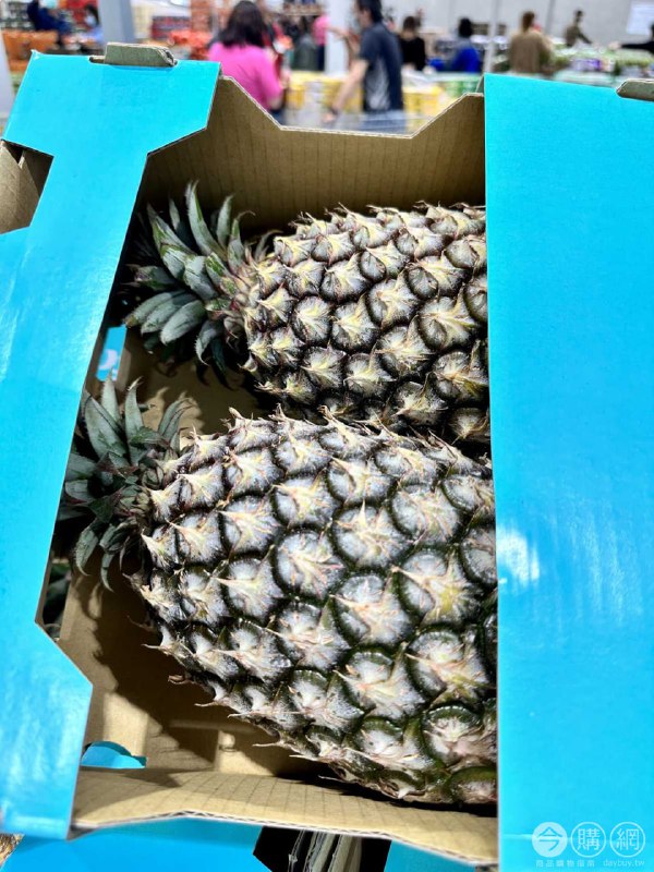 完整情報 